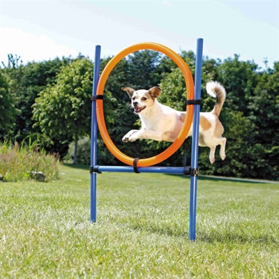 Trixie Dog Activity Agility Ring Blauw / Oranje Default Title