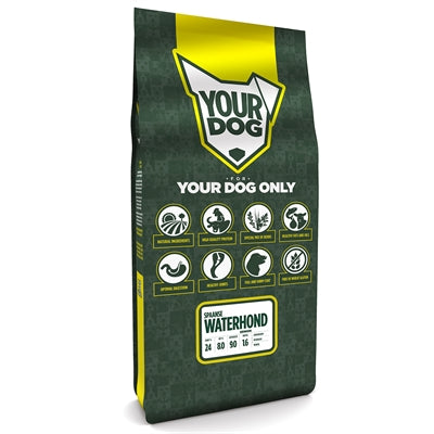 Yourdog Spaanse Waterhond Senior