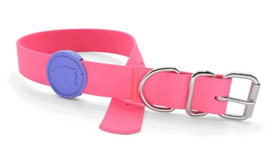 Morso Halsband Hond Waterproof Gerecycled Passion Pink Roze 47-55X2,5 CM (413916)