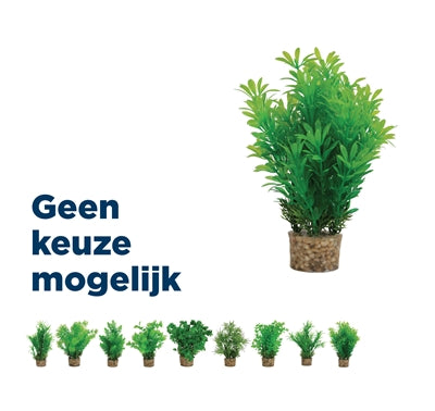Zolux Ornament Pastic Plant Op Stenen Neutraal Assorti Default Title