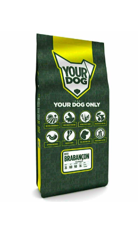 Yourdog Petit Brabançon Senior