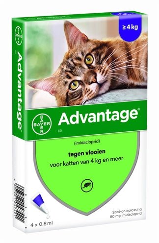 Bayer Advantage Kat 4 Pipetten - Best4pets.nl