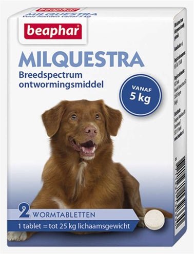 Beaphar Milquestra Hond - Best4pets.nl