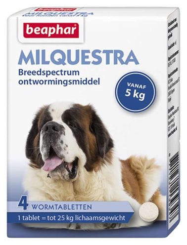 Beaphar Milquestra Hond - Best4pets.nl