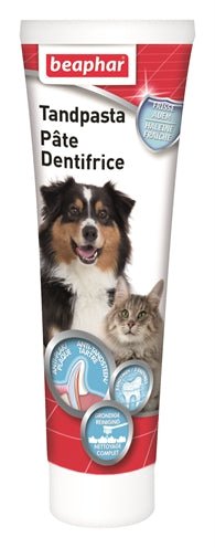 Beaphar Tandpasta 100 GR - Best4pets.nl