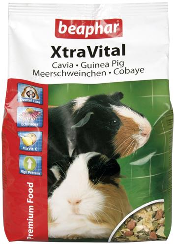 Beaphar Xtravital Cavia - Best4pets.nl