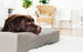 Bia Bed Hondenmand Taupe - Best4pets.nl