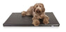 Bia Bed Matras Ligbed Zwart - Best4pets.nl