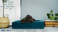 Bia Bed Royal Fluweel Hoes Voor Hondenmand Petrol - Best4pets.nl