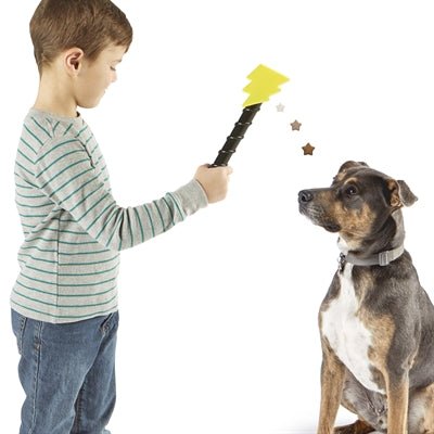 Brightkins Magic Wand Treat Dispenser Bolt - Best4pets.nl