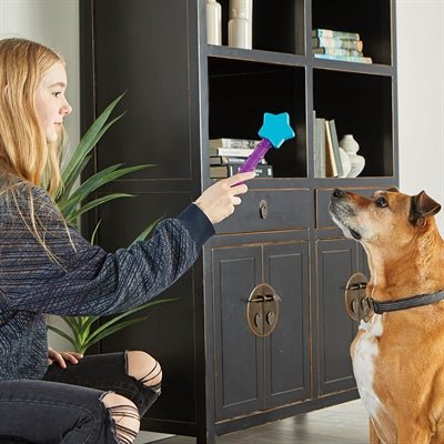 Brightkins Magic Wand Treat Dispenser Star - Best4pets.nl