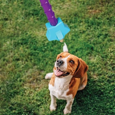 Brightkins Magic Wand Treat Dispenser Star - Best4pets.nl