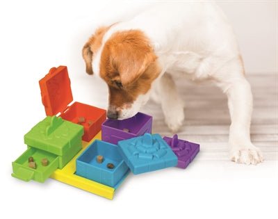 Brightkins Surprise Party Treat Puzzle - Best4pets.nl