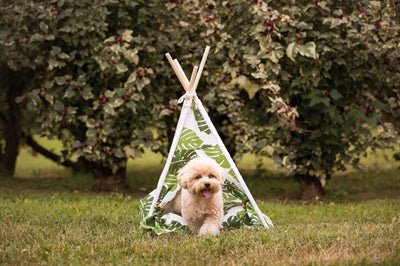 Croci Teepee Jungle 50X48X70 CM - Best4pets.nl