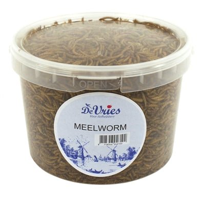 De Vries Meelworm Black Soldier Fly - Best4pets.nl