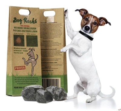 Dog Rocks 200 GR - Best4pets.nl