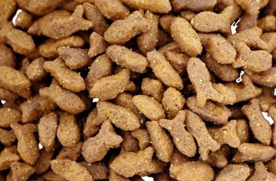 Easypets Fish Bites Kat 150 GR - Best4pets.nl