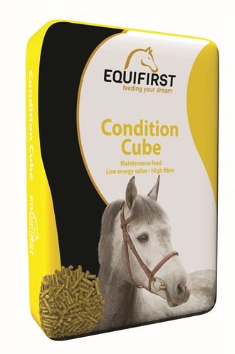 Equifirst Condition Cube 20 KG - Best4pets.nl