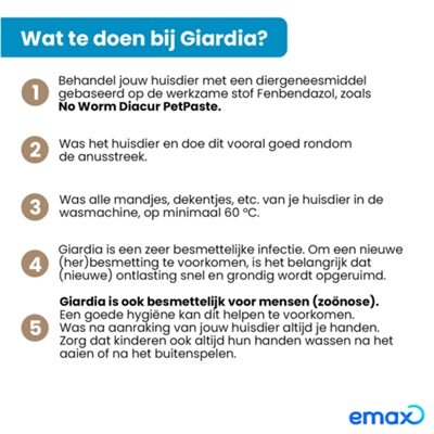 Exil No Worm Diacur Giardiatest - Best4pets.nl