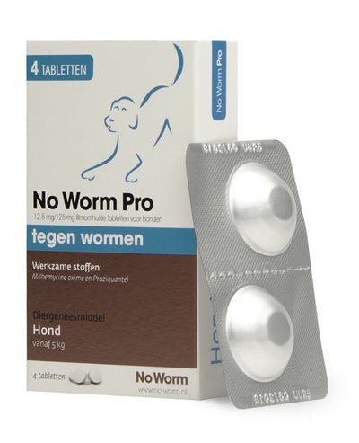 Exil No Worm Pro Hond - Best4pets.nl