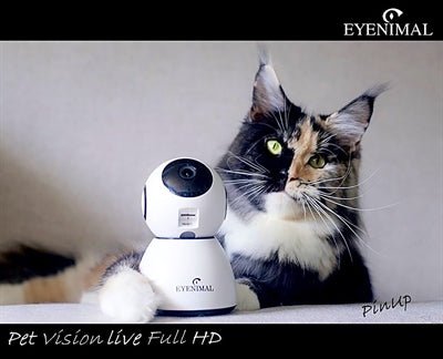 Eyenimal Pet Vision Live Hd Camera - Best4pets.nl