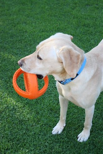 Happy Pet Grubber Interactieve Voetbal Oranje 18X18X18 CM - Best4pets.nl