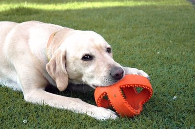 Happy Pet Grubber Interactieve Voetbal Oranje 18X18X18 CM - Best4pets.nl