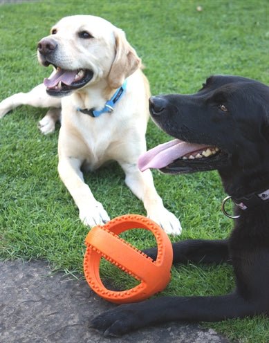 Happy Pet Grubber Interactieve Voetbal Oranje 18X18X18 CM - Best4pets.nl