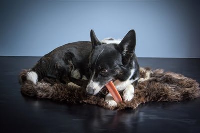 Henart Yak Kaas Met Aardbeismaak - Best4pets.nl