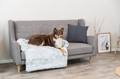 Hondenkleed voor op de bank, met meubelbeschermer. - Best4pets.nl