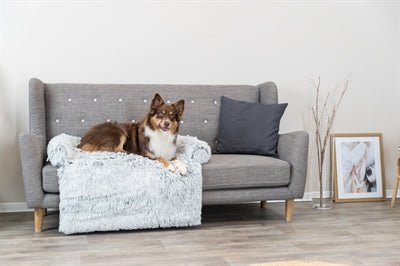 Hondenkleed voor op de bank, met meubelbeschermer. - Best4pets.nl