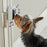 Hunger For Words Talking Pet Doorbell - Best4pets.nl