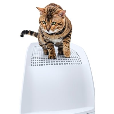 Imac Kattenbak Frida Met Lade Groen - Best4pets.nl