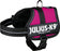 Julius K9 Power - Harnas / Tuig Voor Labels Fuchsia - Best4pets.nl