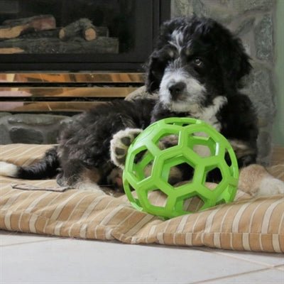 Jw Hol - Ee Roller Assorti M 11,5X11,5X11,5 CM - Best4pets.nl