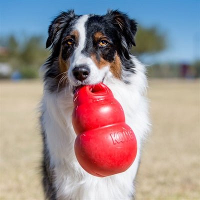 Kong Bounzer Rood 14X14X20,5 CM - Best4pets.nl