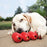 Kong Goodie Ribbon - Best4pets.nl