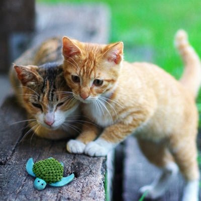 Kong Kat Catnip Turtle 9X1,5X10 CM - Best4pets.nl