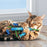 Kong Kickeroo Stickeroo Met Kreukgeluid En Catnip Blauw - Best4pets.nl