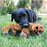 Kong Low Stuff Flopzie Vos 48,5X26,5X9 CM - Best4pets.nl