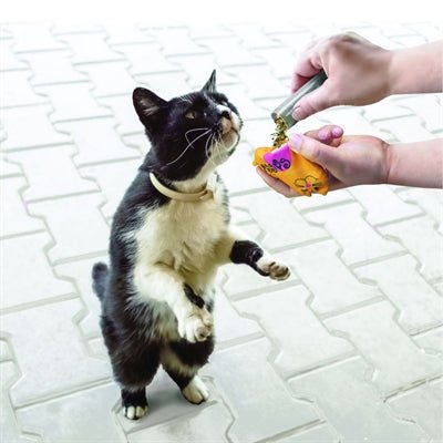 Kong Refillables Catnip Kattenkruid Buisjes 3 ST - Best4pets.nl