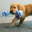 Kong Rope Stick Flostouw Puppy Assorti 29X6,5X5,5 CM - Best4pets.nl