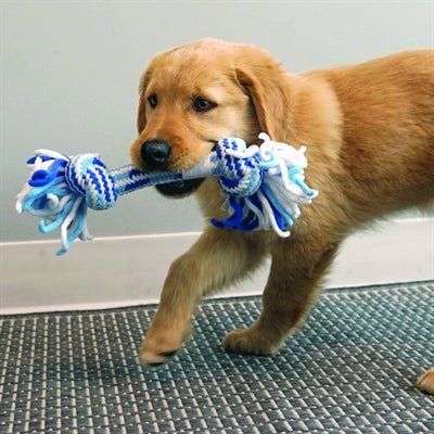 Kong Rope Tug Puppy Assorti 30,5X15,5X7 CM - Best4pets.nl