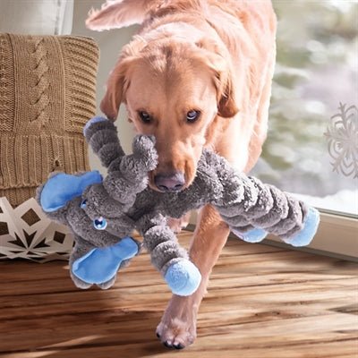 Kong Shakers Crumples Olifant - Best4pets.nl