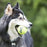 Kong Squeakair Tennisbal Geel Met Piep - Best4pets.nl