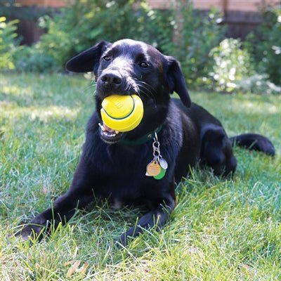 Kong Squeezz Tpr Tennisbal Geel Assorti - Best4pets.nl