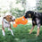 Kong Tuggz Aap 23X11X42 CM - Best4pets.nl