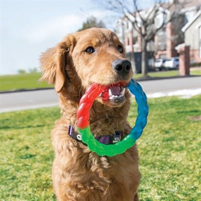 Kong Twistz Ring - Best4pets.nl