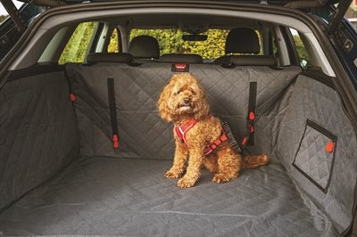 Kong Ultimate Cargo Auto Hondendeken - Best4pets.nl