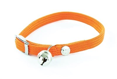 Martin Halsband Kat Elastisch Nylon Oranje 30X1 CM - Best4pets.nl